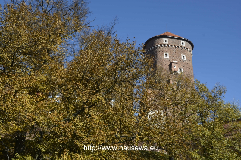 atrakcje w domu wypoczynkowym